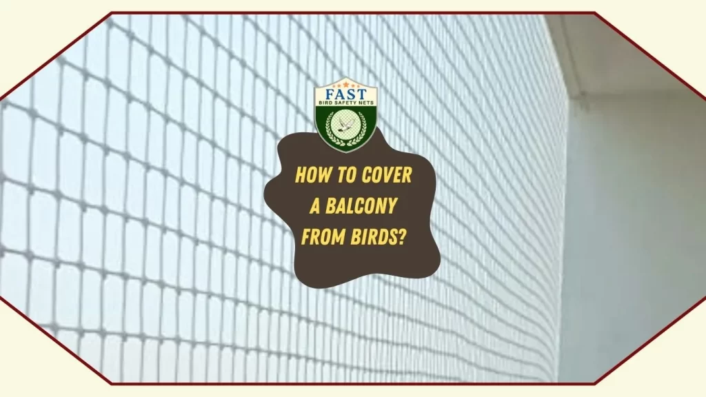 How to cover a balcony from birds?