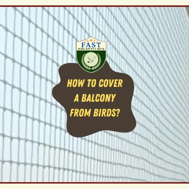 How to cover a balcony from birds?