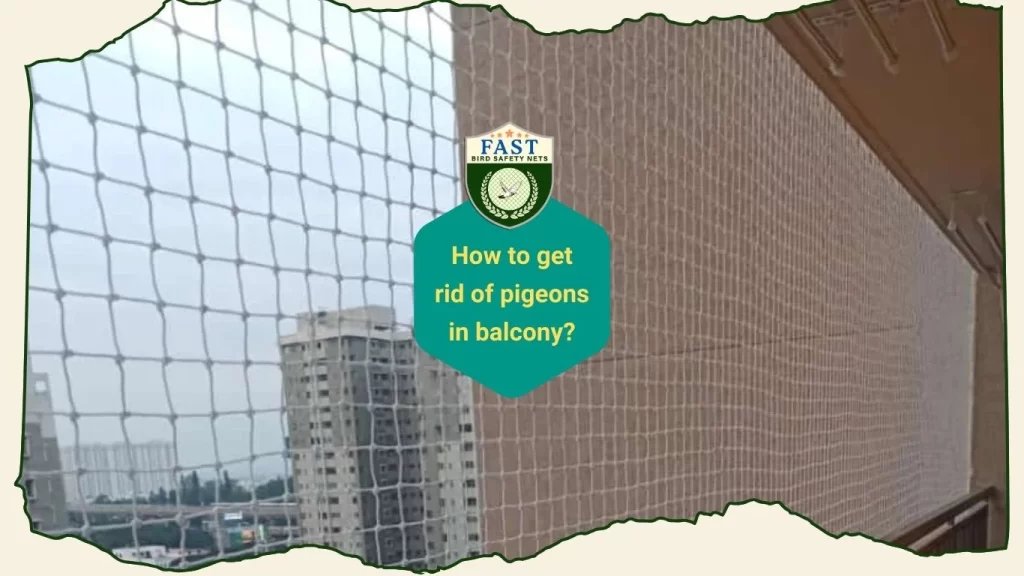 How to get rid of pigeons in balcony?