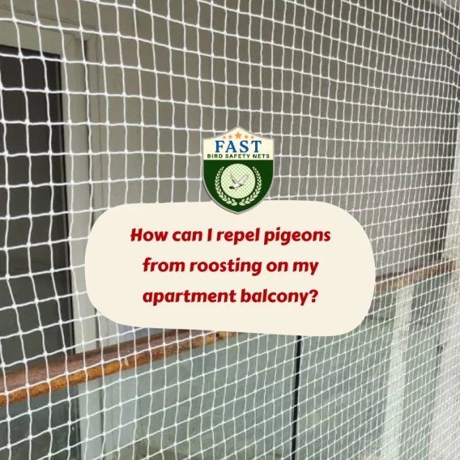 How Can I Repel Pigeons from Roosting on My Apartment Balcony?