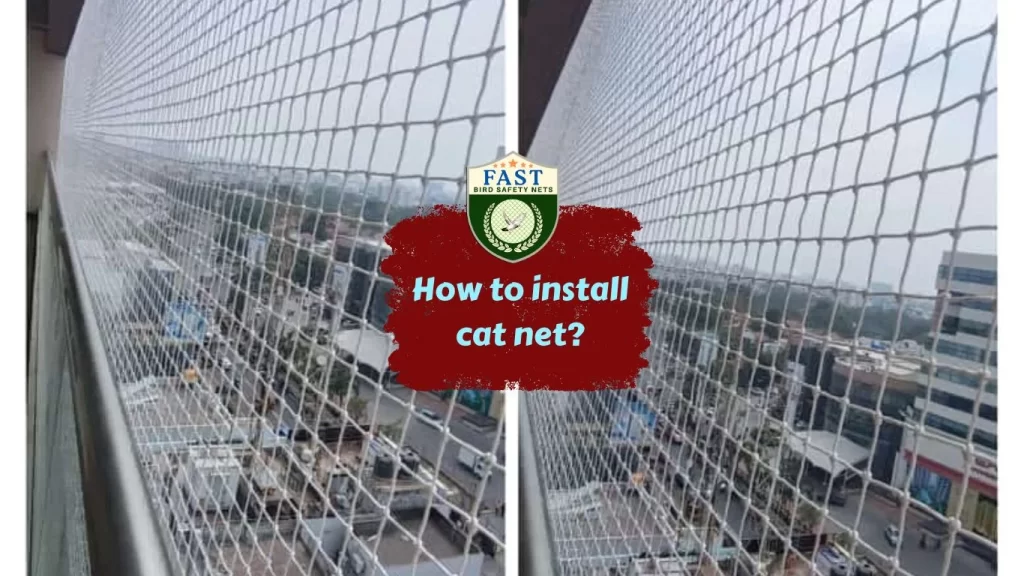 How to install cat net?