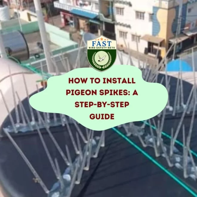 How to Install Pigeon Spikes: A Step-by-Step Guide