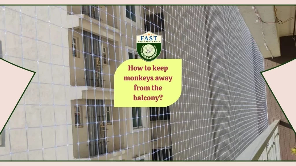 How to keep monkeys away from the balcony?