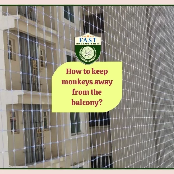 How to keep monkeys away from the balcony?