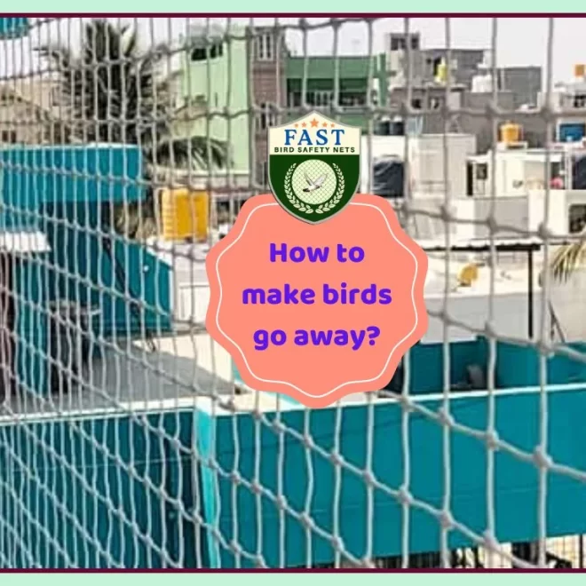 How to make bird go away?