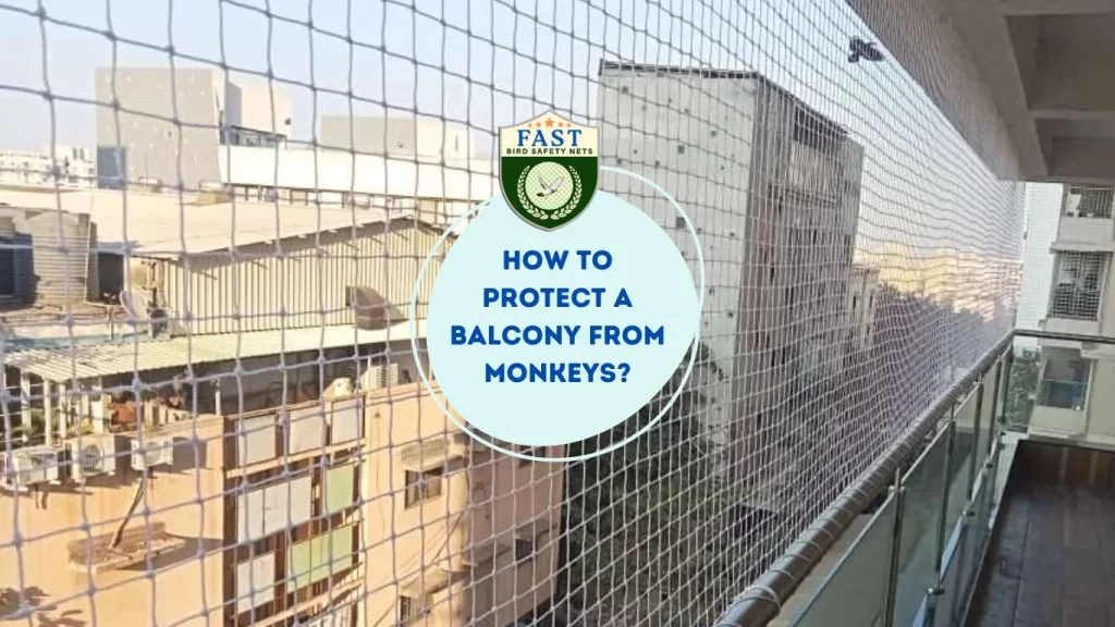 How to protect a balcony from monkeys?