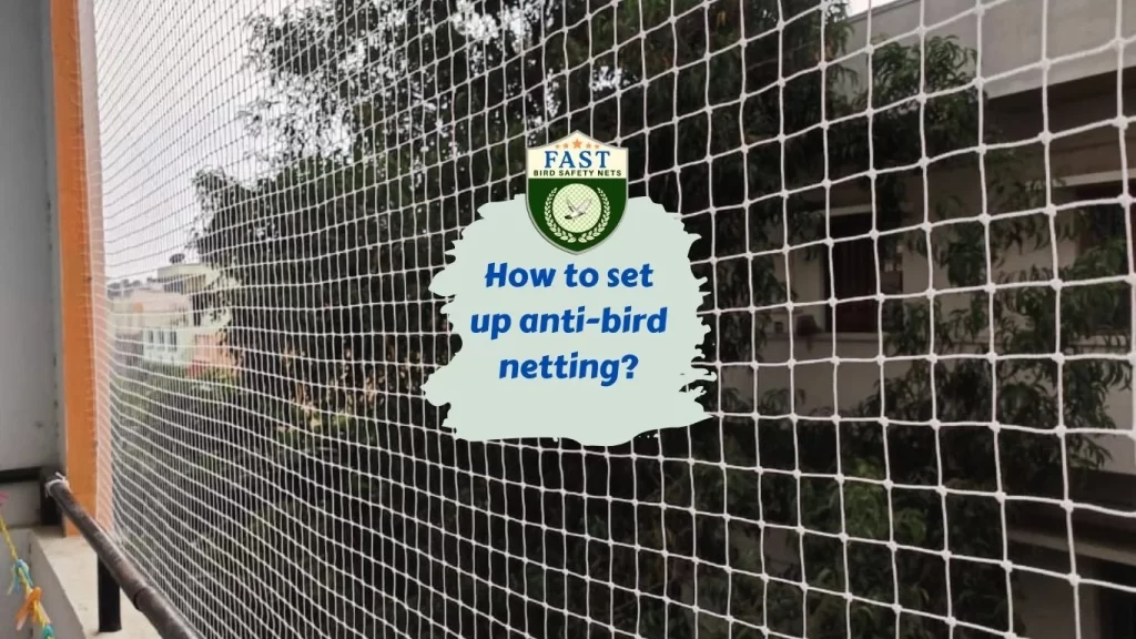 How to set up anti-bird netting?