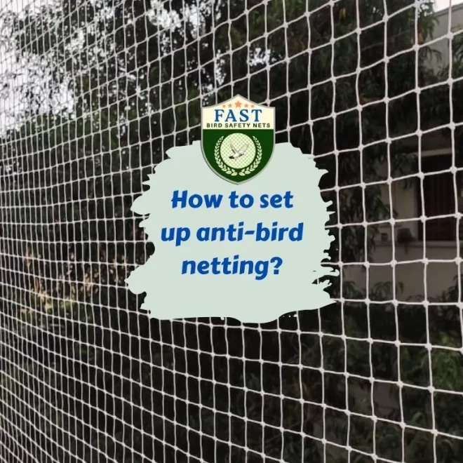 How to set up anti-bird netting?