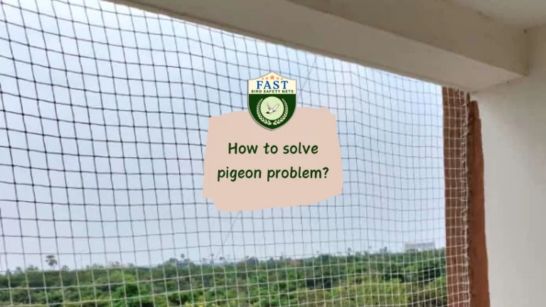 How to solve pigeon problems?