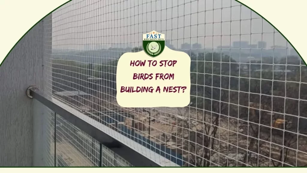 How to stop birds from building a nest?