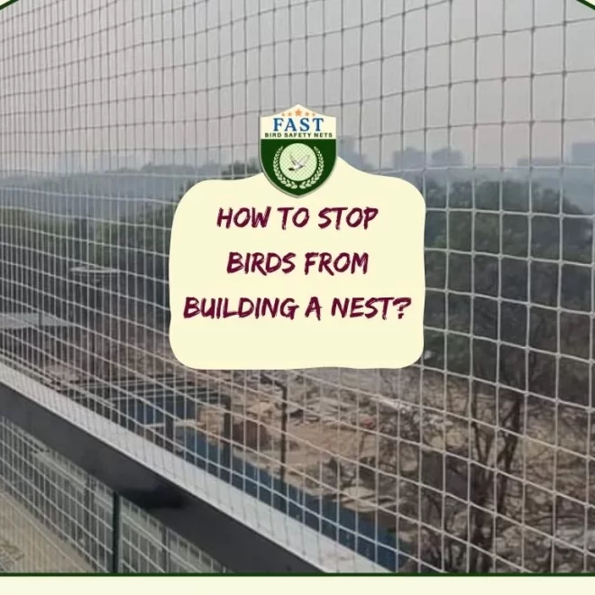 How to stop birds from building a nest?