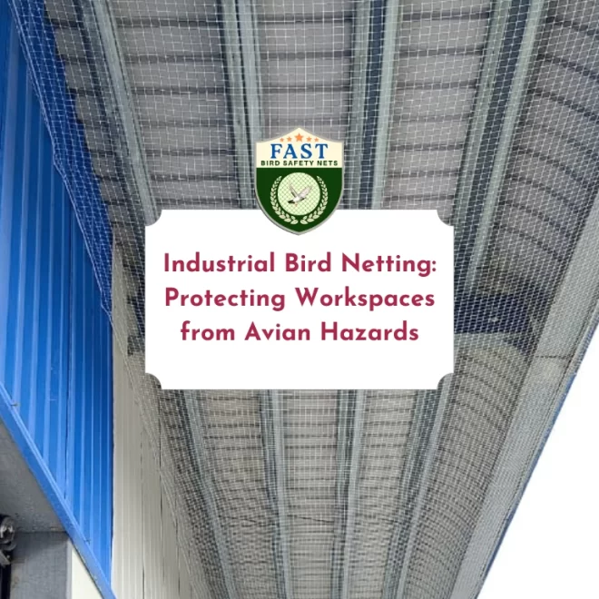 Industrial Bird Netting: Protecting Workspaces from Avian Hazards