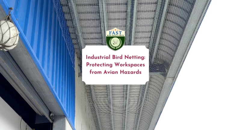 Industrial Bird Netting: Protecting Workspaces from Avian Hazards