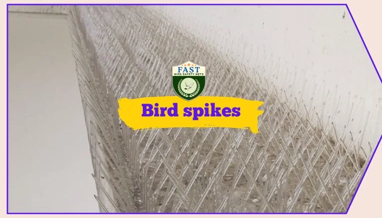 Bird Spikes Installation