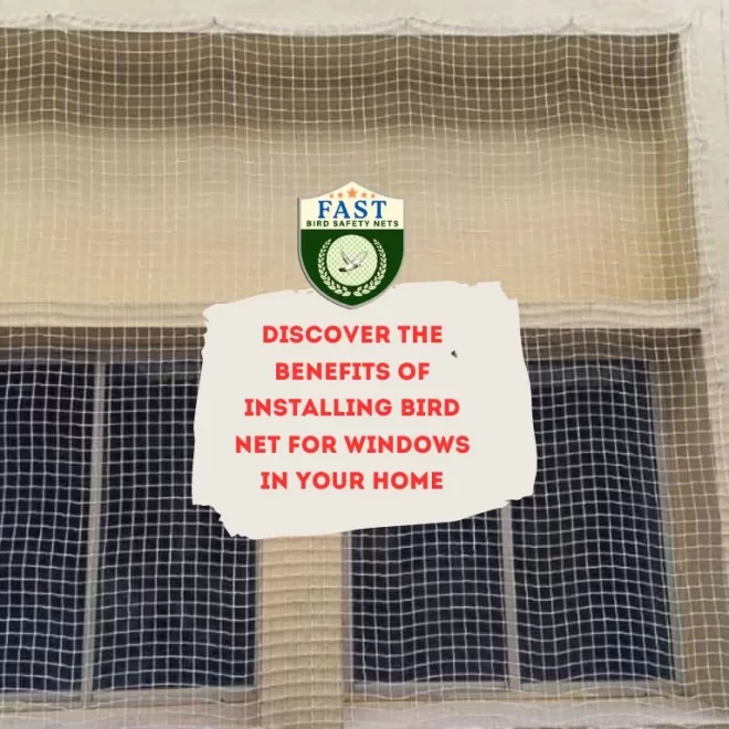 Discover the Benefits of Installing Bird Net for Windows in Your Home