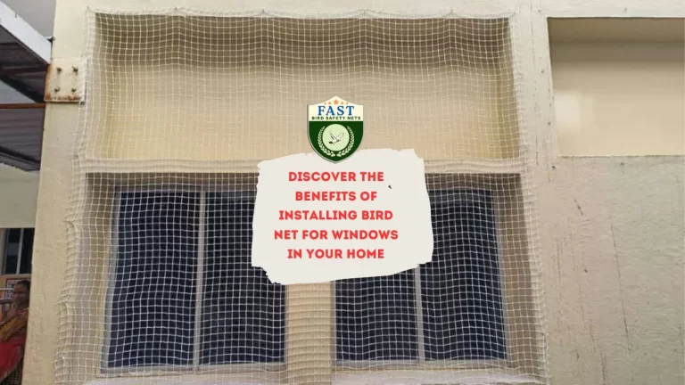 Discover the Benefits of Installing Bird Net for Windows in Your Home