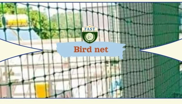 Installing Bird Netting