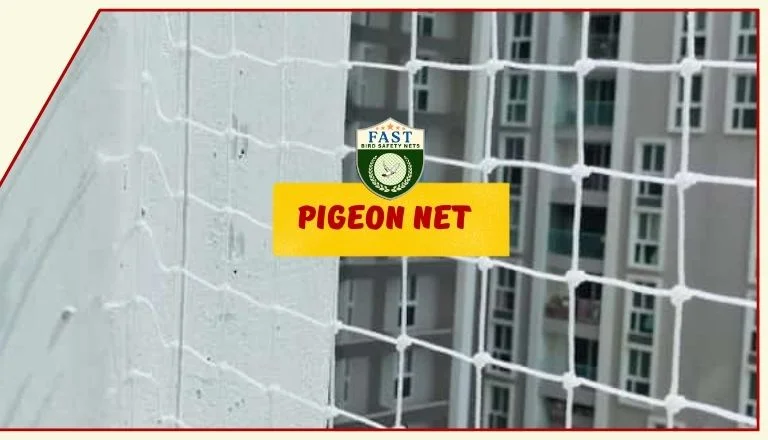 Pigeon Nets