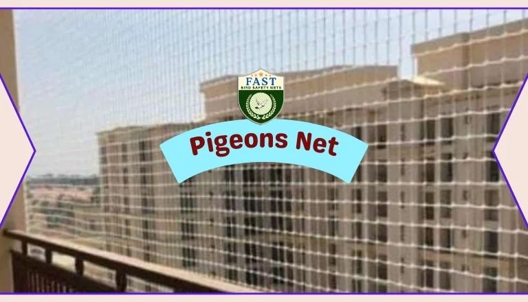 Installing Pigeon Nets