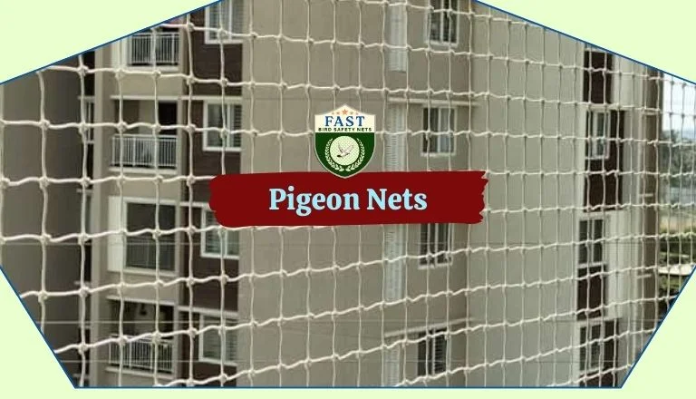 Installing Pigeon Nets