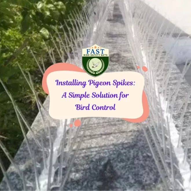 Installing Pigeon Spikes: A Simple Solution for Bird Control