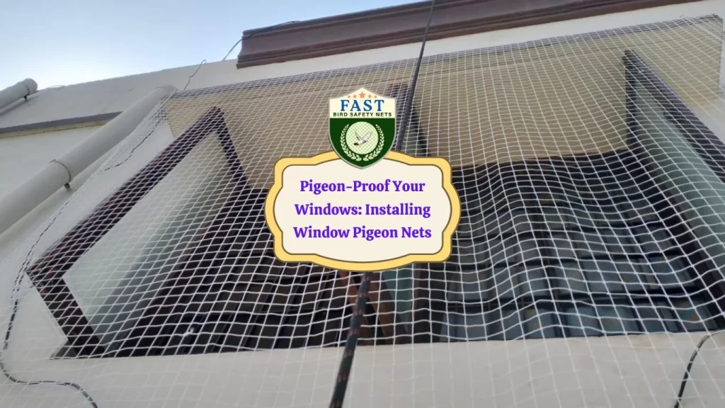 Pigeon-Proof Your Windows: Installing Window Pigeon Nets