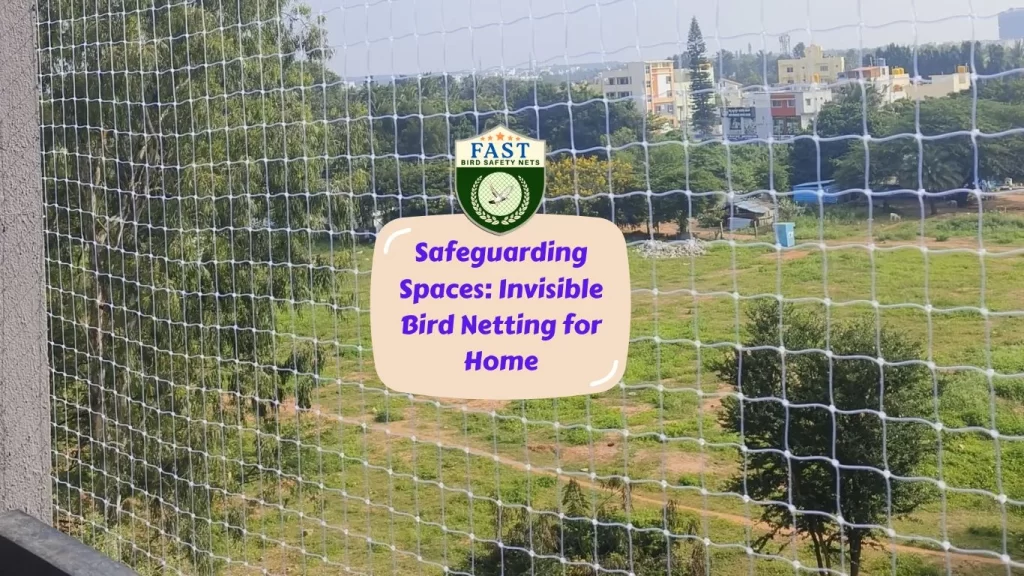 Safeguarding Spaces: Invisible Bird Netting for Home