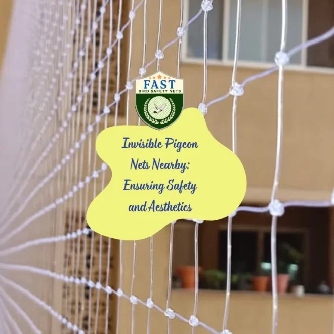 Invisible Pigeon Nets Nearby: Ensuring Safety and Aesthetics
