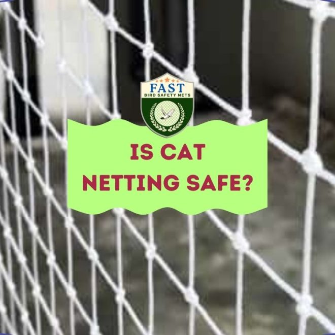 Is cat netting safe?