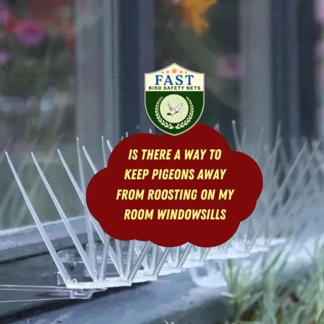 Is there a way to keep pigeons Away from roosting on my room windowsills