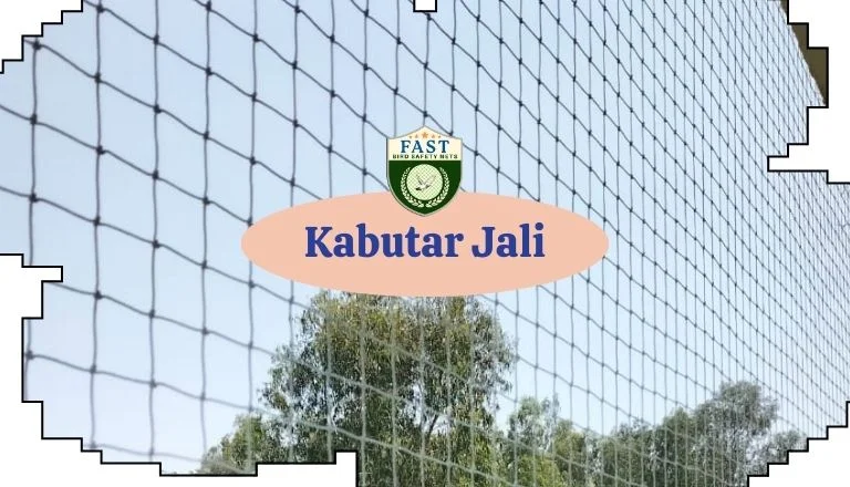 Kabutar Jali