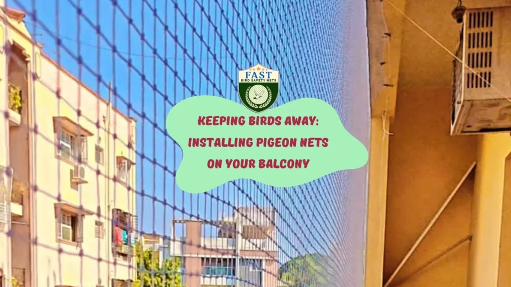 Keeping Birds Away: Installing Pigeon Nets on Your Balcony