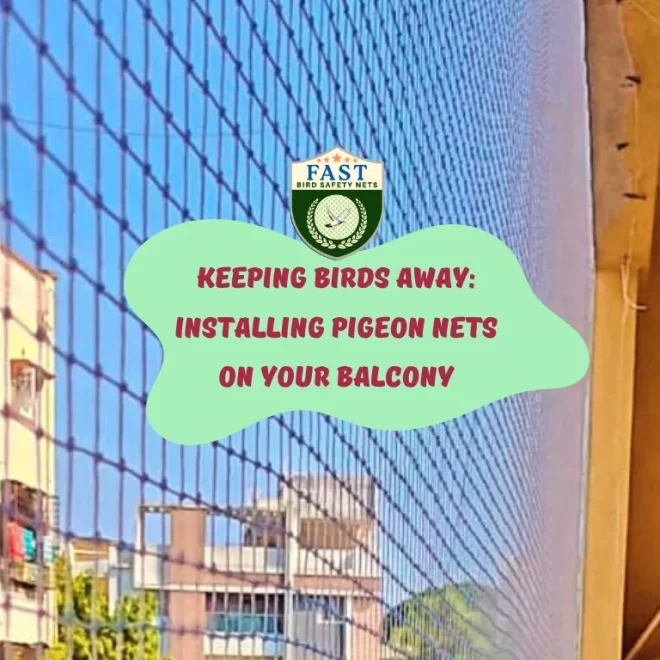 Keeping Birds Away: Installing Pigeon Nets on Your Balcony