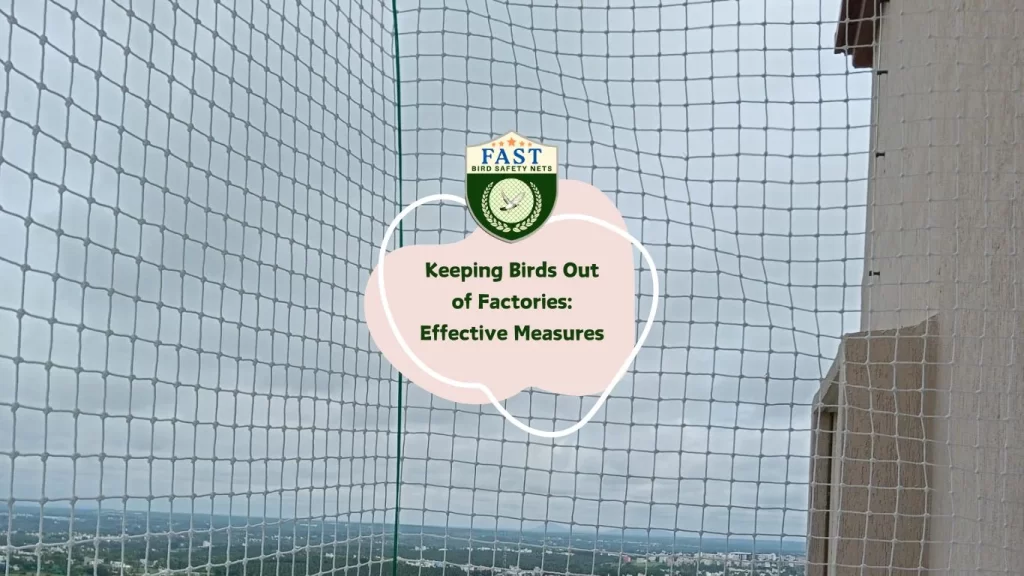 Keeping Birds Out of Factories: Effective Measures