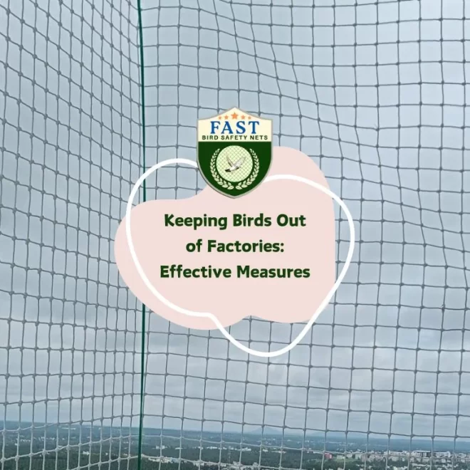 Keeping Birds Out of Factories: Effective Measures