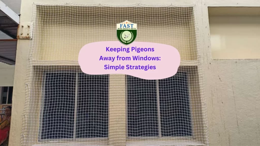 Keeping Pigeons Away from Windows: Simple Strategies