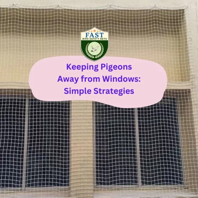 Keeping Pigeons Away from Windows: Simple Strategies
