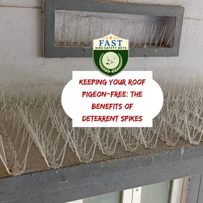 Keeping Your Roof Pigeon-Free: The Benefits of Deterrent Spikes