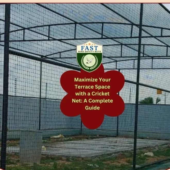 Maximize Your Terrace Space with a Cricket Net: A Complete Guide
