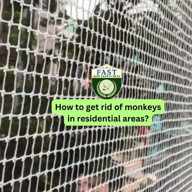 How to get rid of monkeys in residential areas?