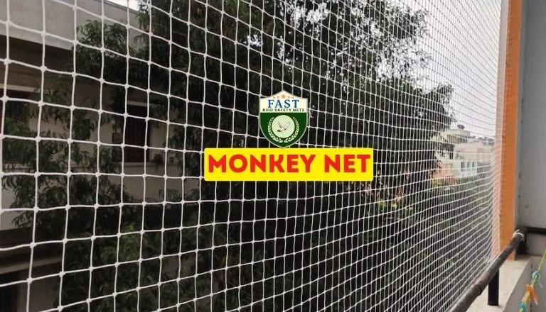 Monkey Net Installation