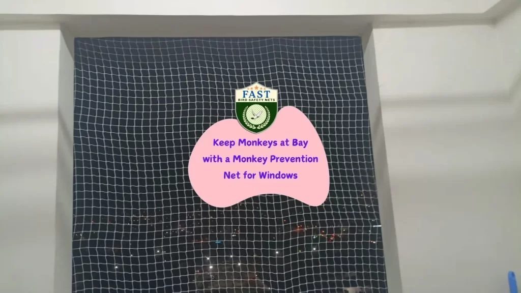 Monkey Prevention Net for Windows