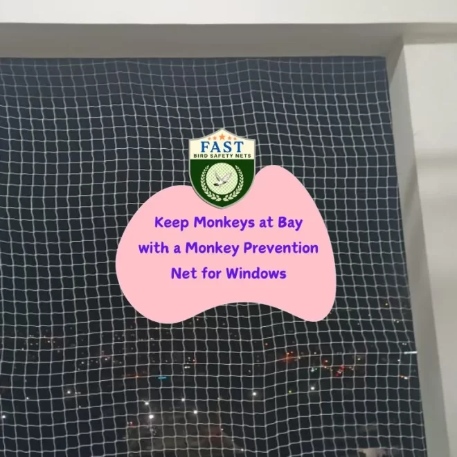Keep Monkeys at Bay with a Monkey Prevention Net for Windows