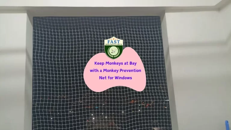 Keep Monkeys at Bay with a Monkey Prevention Net for Windows
