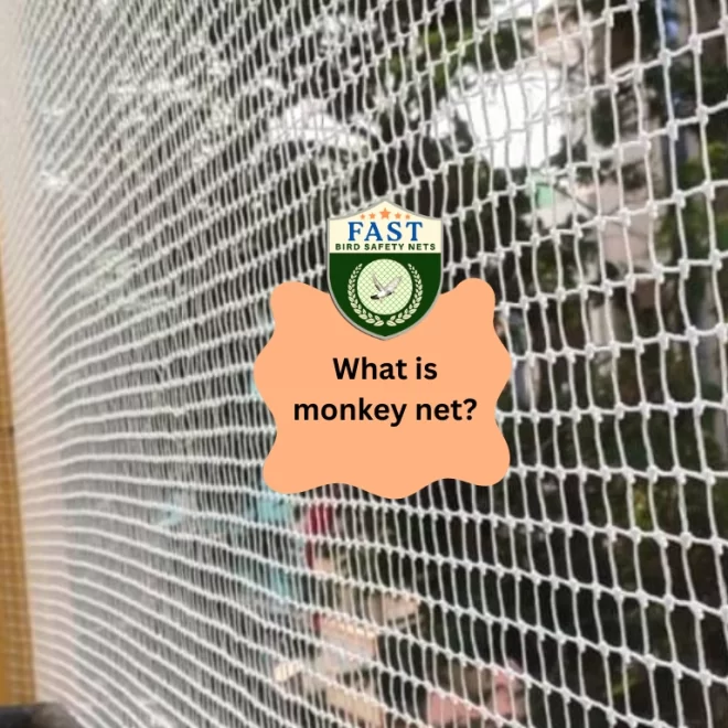 What is Monkey Net?