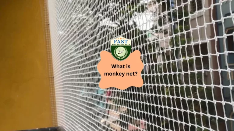 What is Monkey Net?