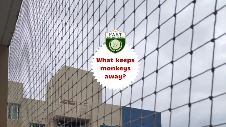 What keeps monkeys away?