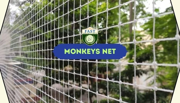 Monkey Nets