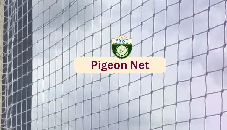 pigeon net