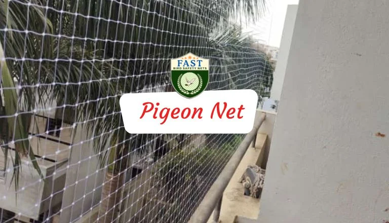 pigeon net